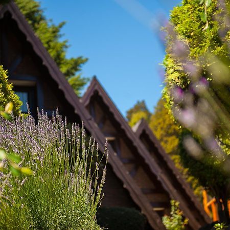 Cabanas Antilhue San Martin de los Andes Bagian luar foto
