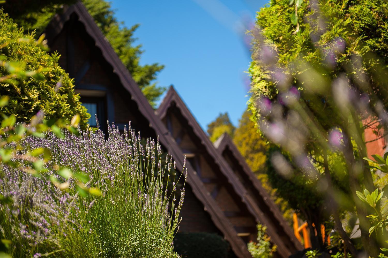 Cabanas Antilhue San Martin de los Andes Bagian luar foto
