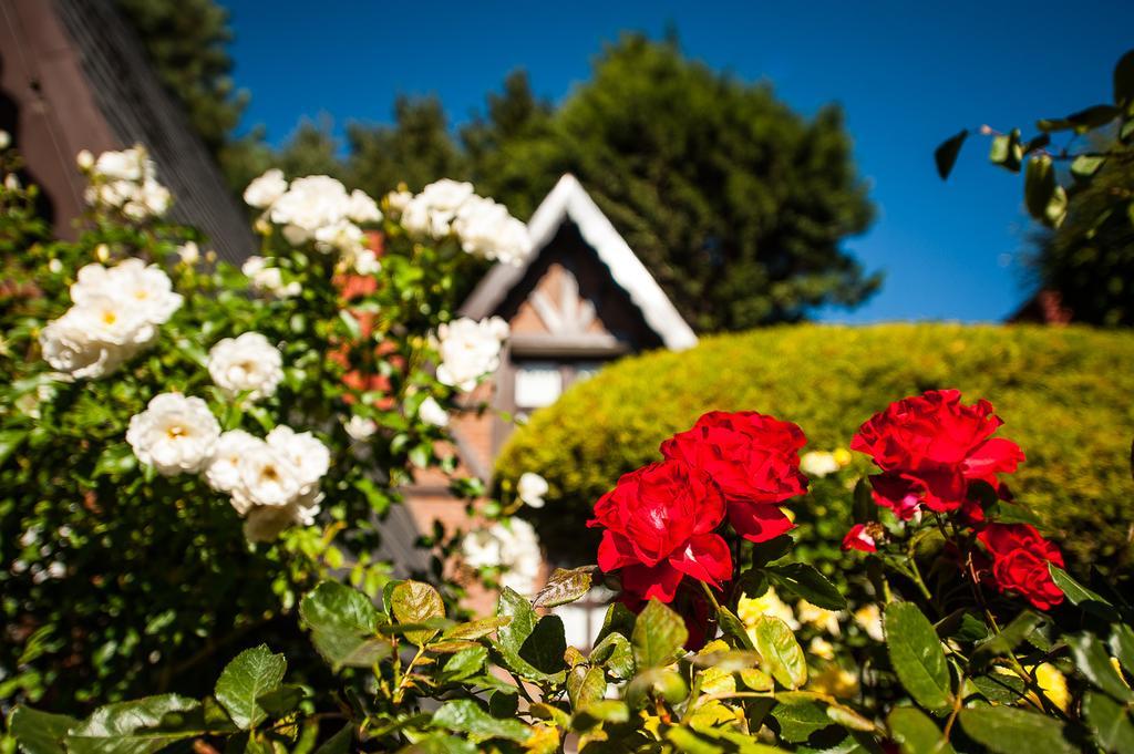 Cabanas Antilhue San Martin de los Andes Bagian luar foto
