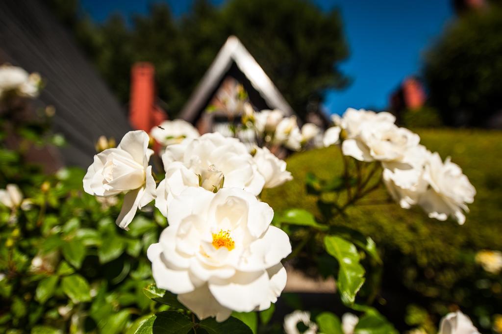 Cabanas Antilhue San Martin de los Andes Bagian luar foto